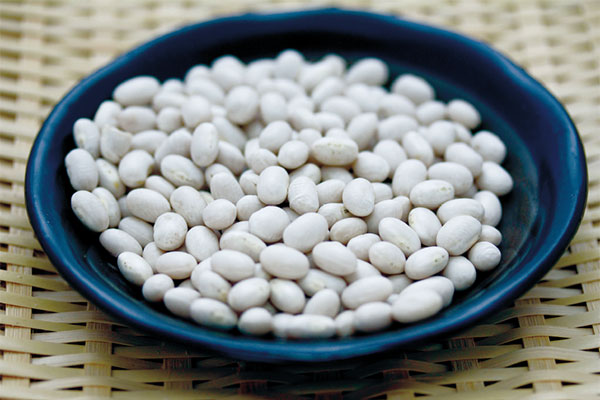 北海道産白手亡豆